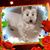 Nancy Johnson's profile image