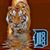 Tracy Latunski's profile image