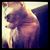 Chelsea Sindle's profile image