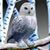 Missy Facchini's profile image