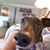 Susan Goryanec Anderson's profile image