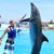 Daniel Featherston's profile image