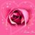 Maribel Garcia's profile image