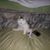Christine Schmeltzer- Harkins's profile image