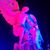 Ann Snow's profile image