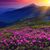 Christine Hooper Fegan's profile image