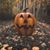 Kim Aller Stanley's profile image
