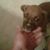 Brian McCray's profile image