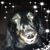 Cori Butler's profile image