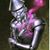 Lisa Morgan's profile image