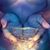 Debra Despain's profile image
