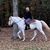 Anne Giffin Bailey's profile image