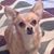 Rob Walther's profile image