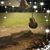 Robin Tatterson's profile image