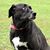 Alexandra Rooks Hughes's profile image
