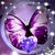 Joyce Roland Stack's profile image