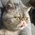 Richard Henry Byington's profile image