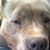 Robert Williams's profile image