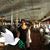 Maria Lucrecia Correa's profile image