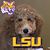 Missy Chapman- Cooley's profile image