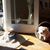Lori Glad's profile image