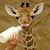 Samantha Strong's profile image