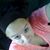 Harmony Bunnell's profile image