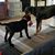 Chris Noha Milbrath's profile image