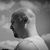 Lenny Khaitov's profile image
