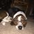 Kylie Watson Wortinger's profile image