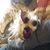 Jackie Mackiewicz's profile image