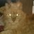 Lynn Kreglow's profile image