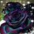 Laura Amico's profile image