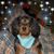 Keri Kuhn's profile image