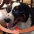 Maureen Young Beintema's profile image