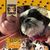 Alaina Gremillion's profile image