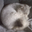 Andrea Brantmeyer's profile image