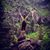 Casie Churcher's profile image