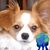 Carol Ann Parker Boshaw's profile image