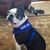 Donna Eklund's profile image