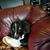 Belinda Bradley's profile image