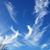 Pat Mangum Gardner's profile image