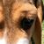 Cindy McCartney's profile image