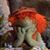 Trey Reddish's profile image