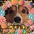Rich Teter's profile image