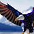 Jose Rivas's profile image