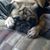 Chrissy Geistel's profile image