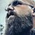 Dustin Smith's profile image