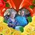 Luisa Faria's profile image