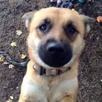 Regina Gouch Tenda's profile image